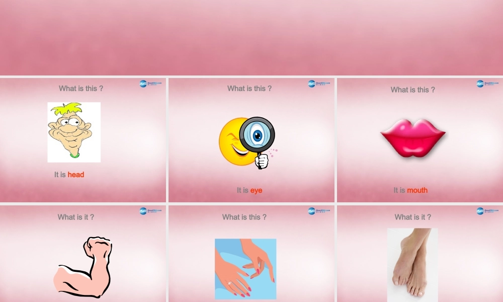 三年级英语上册 Unit10 Touch your head课件2 （新版）湘少版