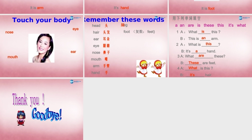 三年级英语上册 Unit10 Touch your head课件2 （新版）湘少版