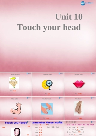 三年级英语上册 Unit10 Touch your head课件2 （新版）湘少版