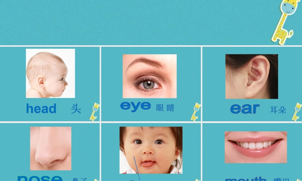 三年级英语下册 Unit 1 My Body课件2 陕旅版-陕旅版小学三年级下册英语课件