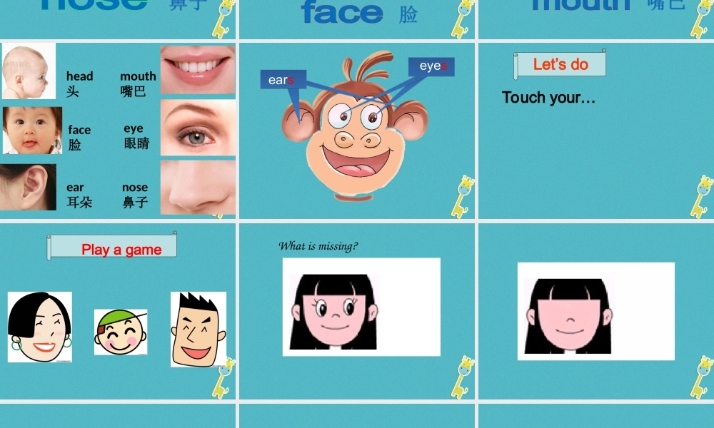 三年级英语下册 Unit 1 My Body课件2 陕旅版-陕旅版小学三年级下册英语课件