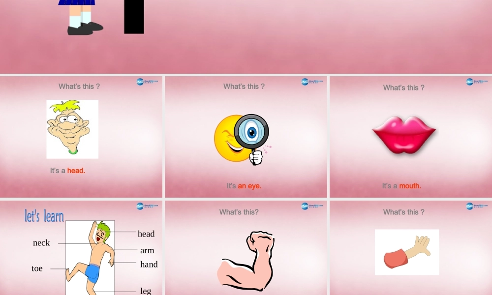 三年级英语上册 Unit10 Touch your head课件3 （新版）湘少版