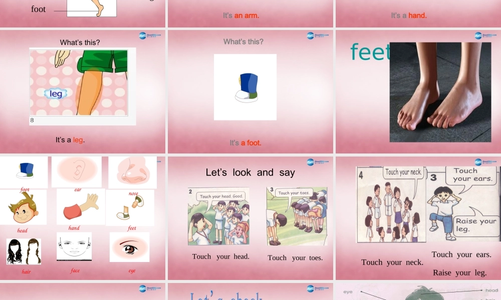 三年级英语上册 Unit10 Touch your head课件3 （新版）湘少版