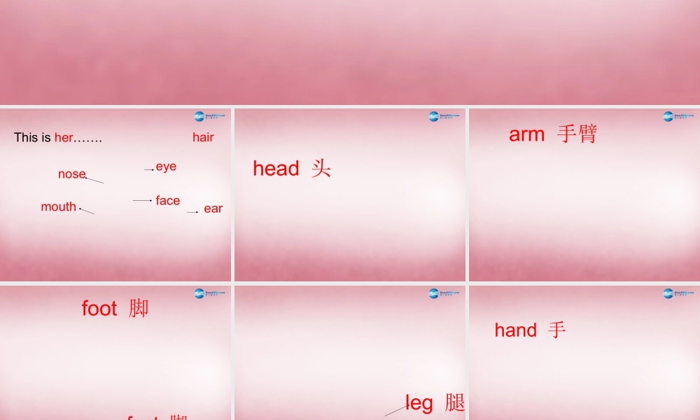 三年级英语上册 Unit10 Touch your head课件4 （新版）湘少版