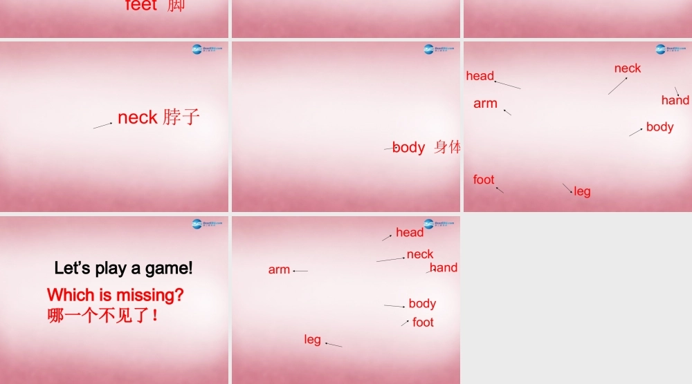 三年级英语上册 Unit10 Touch your head课件4 （新版）湘少版