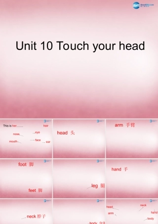三年级英语上册 Unit10 Touch your head课件4 （新版）湘少版