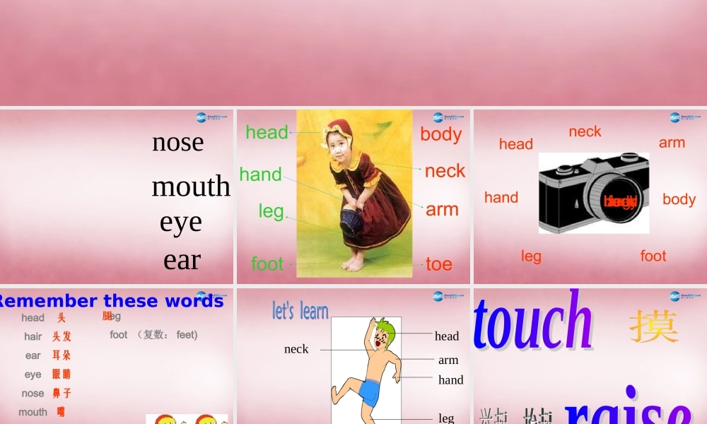 三年级英语上册 Unit10 Touch your head课件5 （新版）湘少版