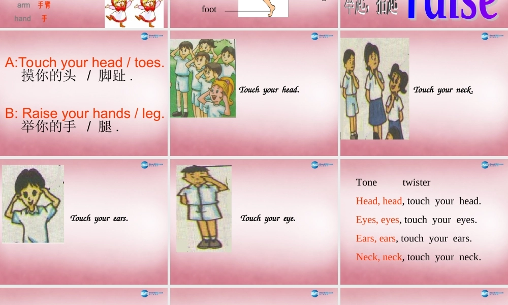 三年级英语上册 Unit10 Touch your head课件5 （新版）湘少版