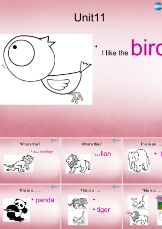 三年级英语上册 Unit11 I like the bird课件1 （新版）湘少版