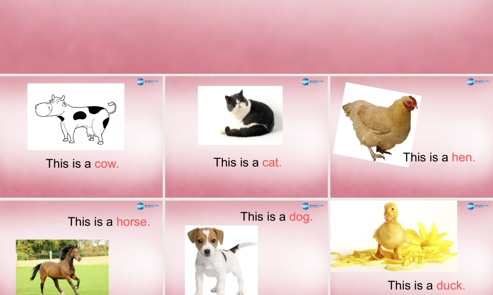 三年级英语上册 Unit11 I like the bird课件2 （新版）湘少版