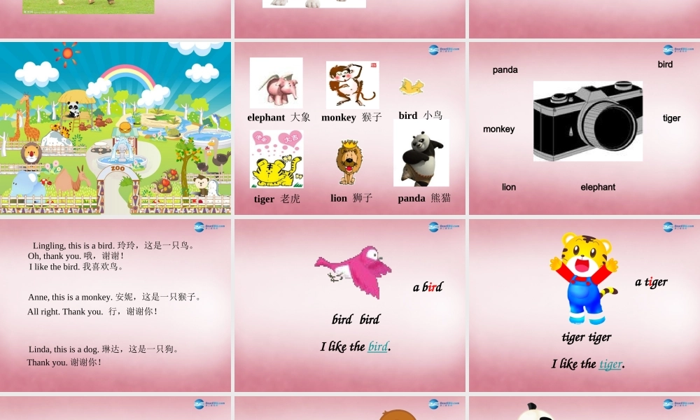 三年级英语上册 Unit11 I like the bird课件2 （新版）湘少版