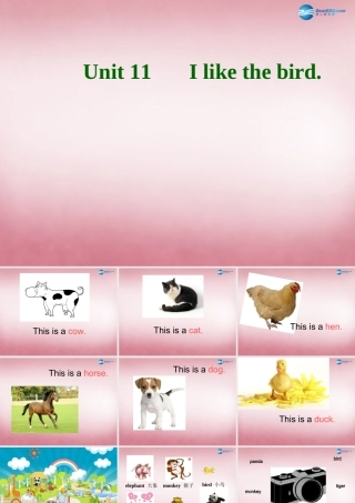 三年级英语上册 Unit11 I like the bird课件2 （新版）湘少版