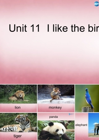 三年级英语上册 Unit11 I like the bird课件3 （新版）湘少版