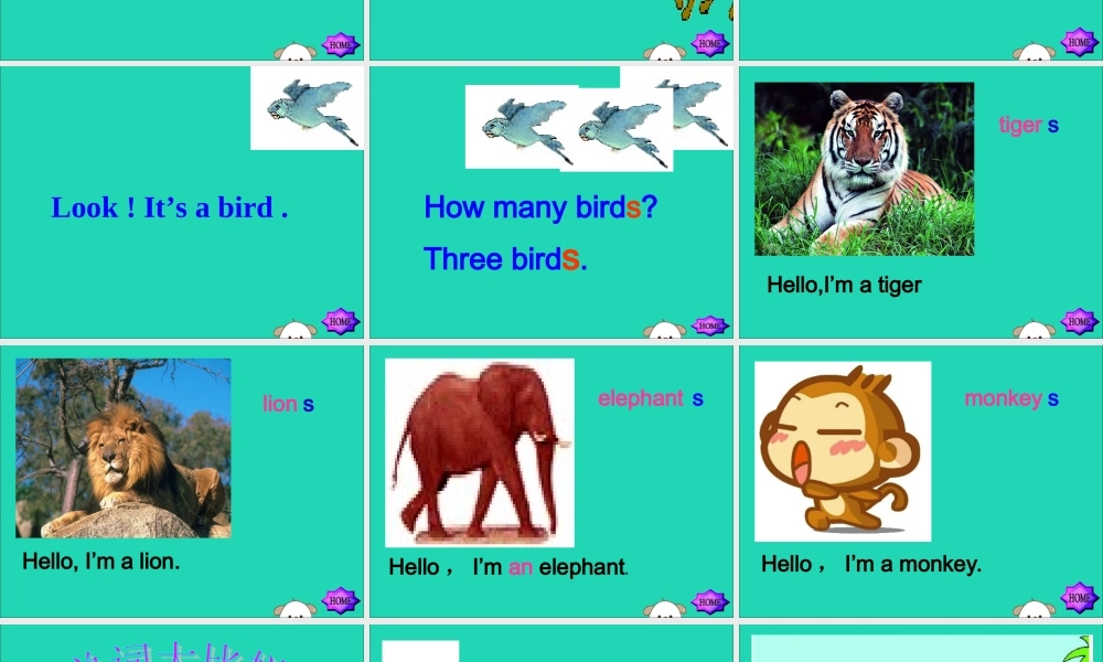三年级英语下册 Module 2 Unit 1 They are monkeys教学课件 外研版（三起）-外研版小学三年级下册英语课件