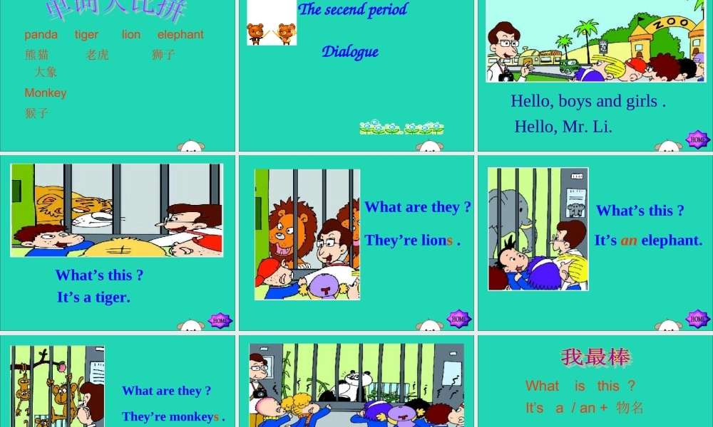 三年级英语下册 Module 2 Unit 1 They are monkeys教学课件 外研版（三起）-外研版小学三年级下册英语课件