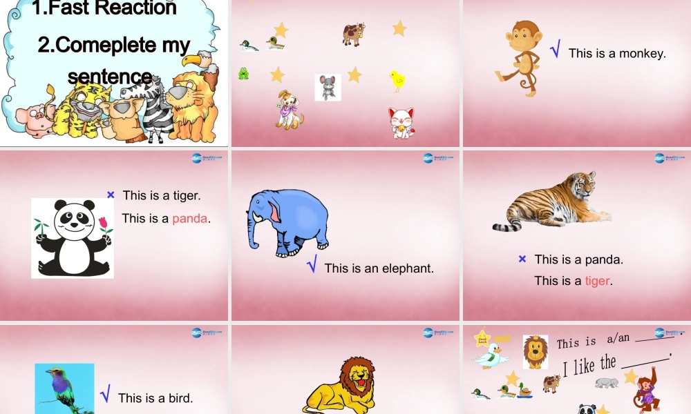 三年级英语上册 Unit11 I like the bird课件4 （新版）湘少版