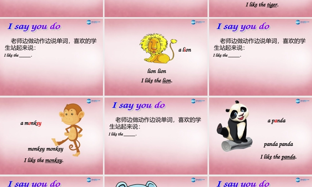 三年级英语上册 Unit11 I like the bird课件5 （新版）湘少版