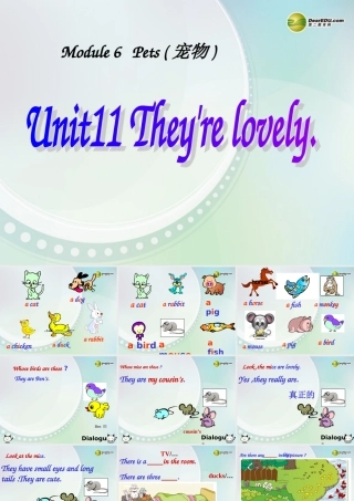 三年级英语上册 Unit11 They are lovely课件 广州版
