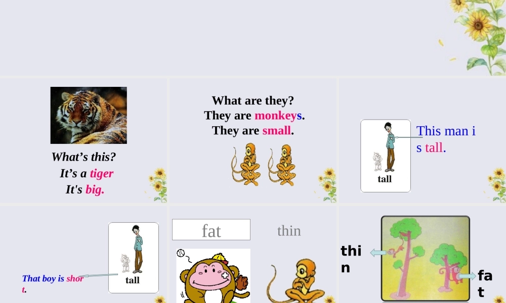三年级英语下册 Module 2 Unit 2 The man is short教学课件 外研版（三起）-外研版小学三年级下册英语课件