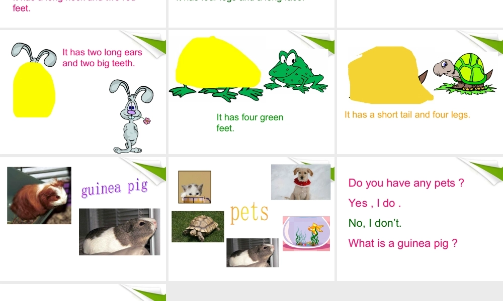 三年级英语下册 Module 2 Unit 5(5)课件 广州版