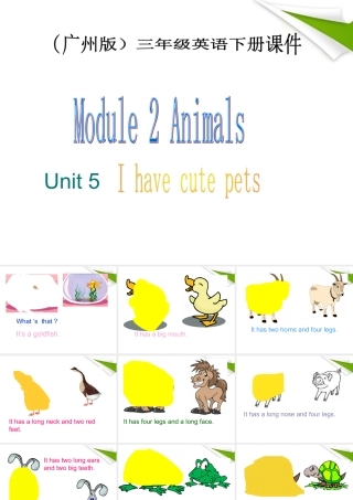 三年级英语下册 Module 2 Unit 5(5)课件 广州版