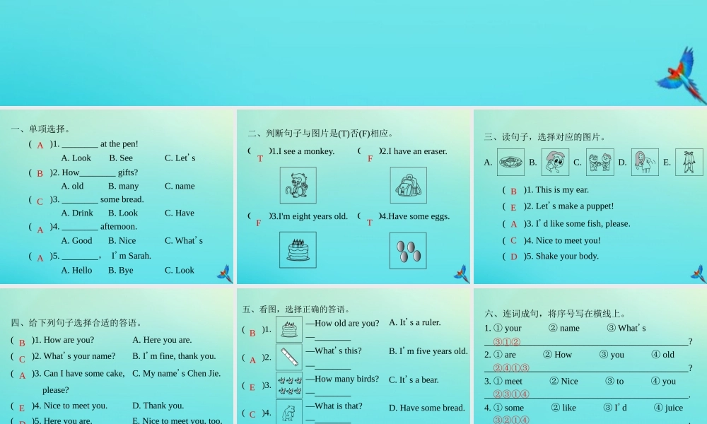 三年级英语上册 句子专项复习习题课件 人教PEP版-人教PEP小学三年级上册英语课件