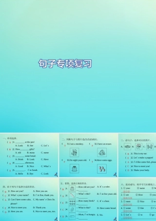 三年级英语上册 句子专项复习习题课件 人教PEP版-人教PEP小学三年级上册英语课件