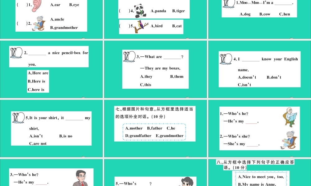 三年级英语上册 期末检测课件+素材 湘少版