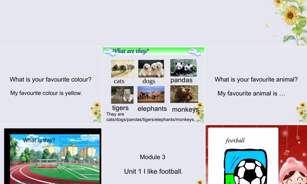 三年级英语下册 Module 3 Unit 1 I like football教学课件 外研版（三起）-外研版小学三年级下册英语课件