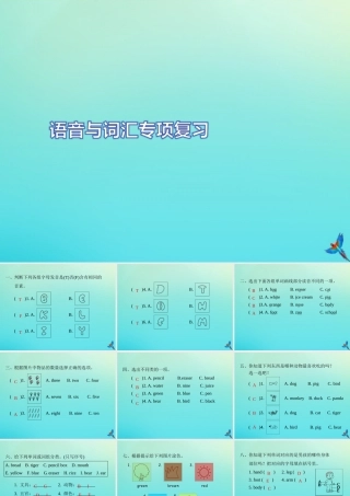 三年级英语上册 语音与词汇专项复习习题课件 人教PEP版-人教PEP小学三年级上册英语课件