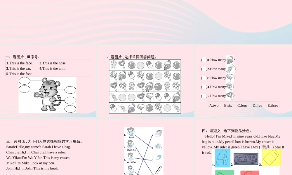 三年级英语上册 专项复习 阅读专项课件 人教PEP-人教PEP小学三年级上册英语课件