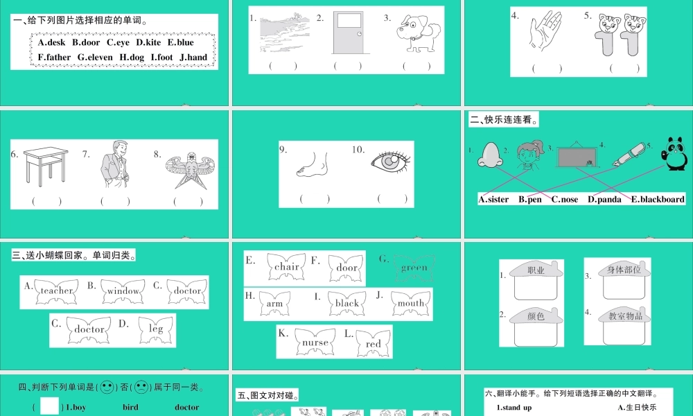 三年级英语上册 专项提升练（词汇）作业课件 外研版（三起）-外研版小学三年级上册英语课件