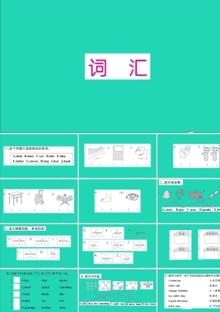 三年级英语上册 专项提升练（词汇）作业课件 外研版（三起）-外研版小学三年级上册英语课件