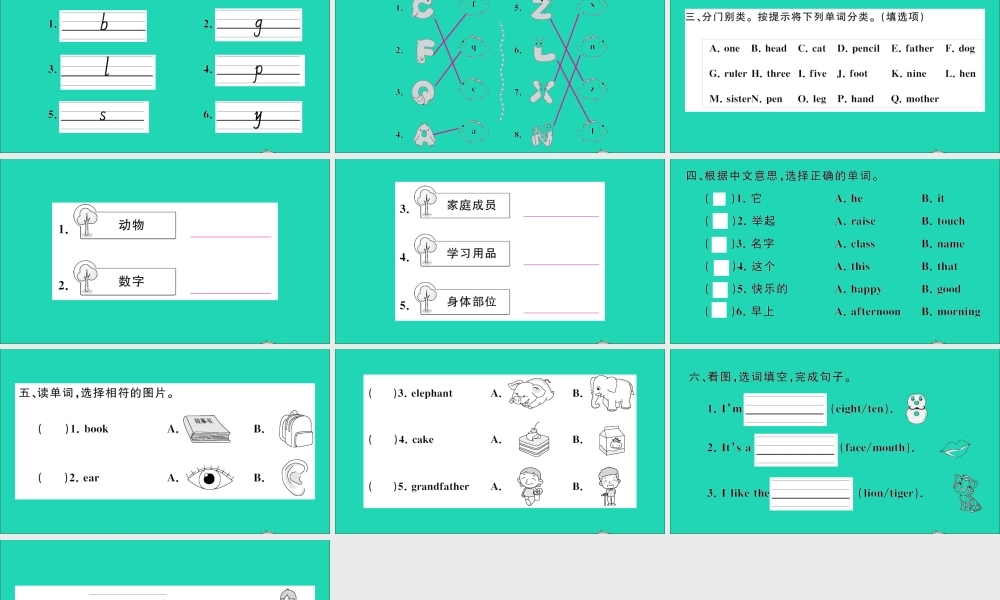 三年级英语上册 专项提升练（字母与词汇）作业课件 湘少版（三起）-湘少版小学三年级上册英语课件