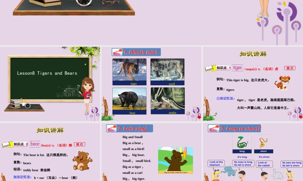 三年级英语下册 Unit 2 Animals at the Zoo Lesson 8 Tigers and Bears课件 冀教版（三起）-冀教版小学三年级下册英语课件