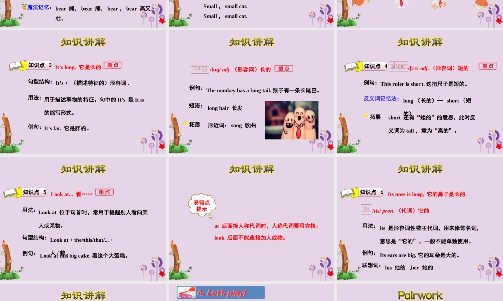 三年级英语下册 Unit 2 Animals at the Zoo Lesson 8 Tigers and Bears课件 冀教版（三起）-冀教版小学三年级下册英语课件