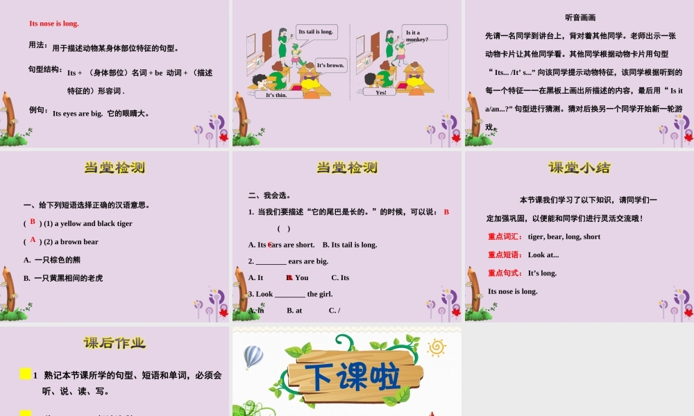 三年级英语下册 Unit 2 Animals at the Zoo Lesson 8 Tigers and Bears课件 冀教版（三起）-冀教版小学三年级下册英语课件
