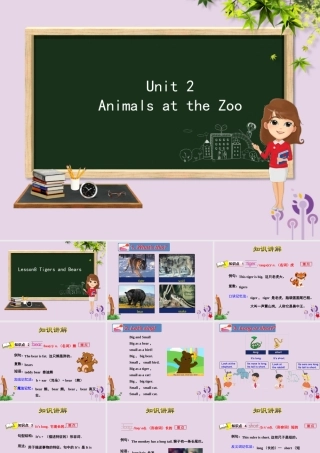 三年级英语下册 Unit 2 Animals at the Zoo Lesson 8 Tigers and Bears课件 冀教版（三起）-冀教版小学三年级下册英语课件