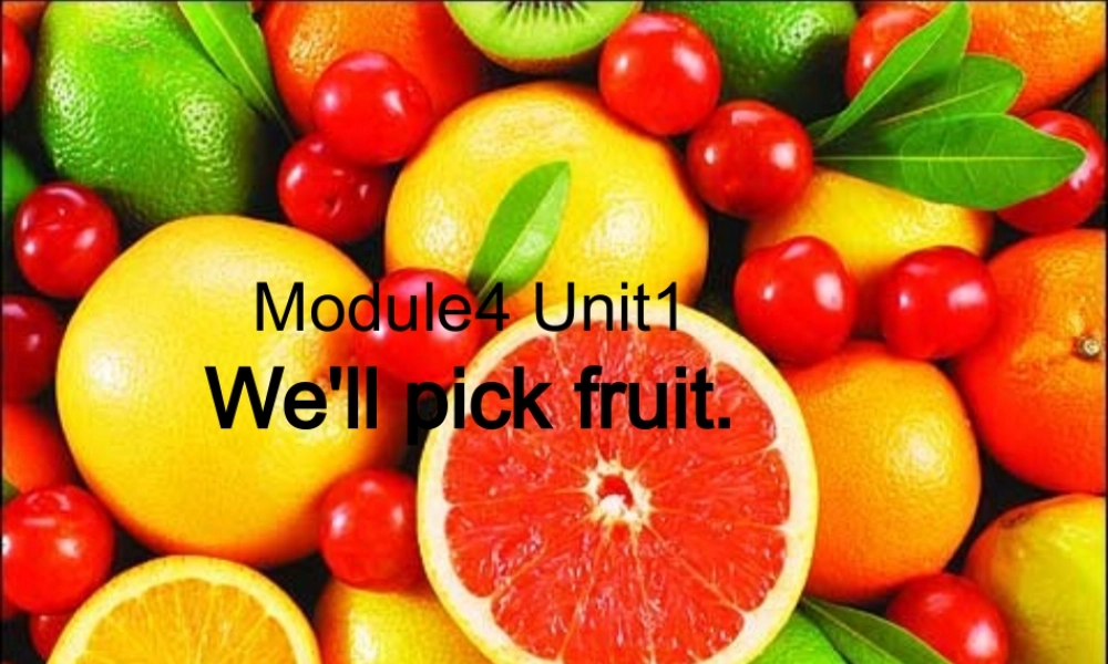 三年级英语下册 module 4 Unit 1 We'll pick fruit课件 外研版（一起）-外研版小学三年级下册英语课件