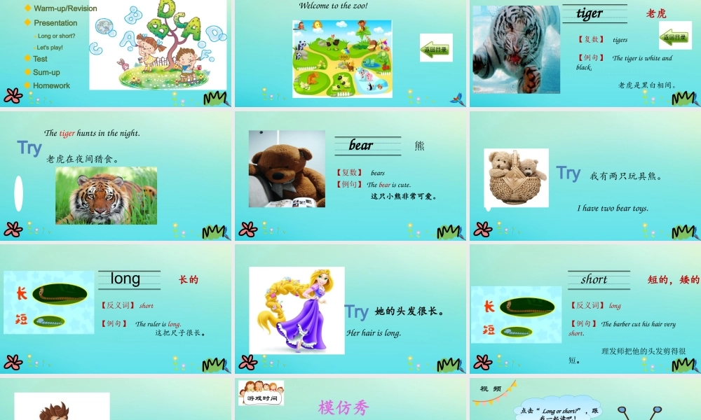 三年级英语下册 Unit 2 Animals at the Zoo Lesson 8 Tigers and Bears课件 冀教版（三起）-冀教级下册英语课件