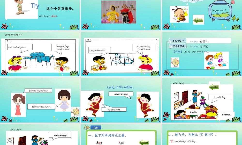 三年级英语下册 Unit 2 Animals at the Zoo Lesson 8 Tigers and Bears课件 冀教版（三起）-冀教级下册英语课件