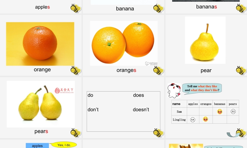 三年级英语下册 Module 4 Unit 2 Does Lingling like oranges（2）教学课件 外研版（三起）-外研版小学三年级下册英语课件