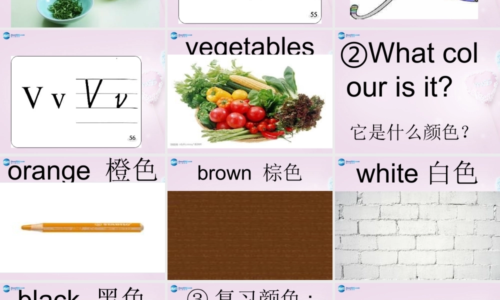 三年级英语上册《Lesson 11 Orange, Brown, White, Black》课件2 （新版）冀教版
