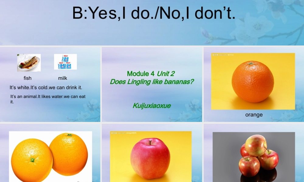 三年级英语下册 Module 4 Unit 2 Does Lingling like oranges（3）教学课件 外研版（三起）-外研版小学三年级下册英语课件