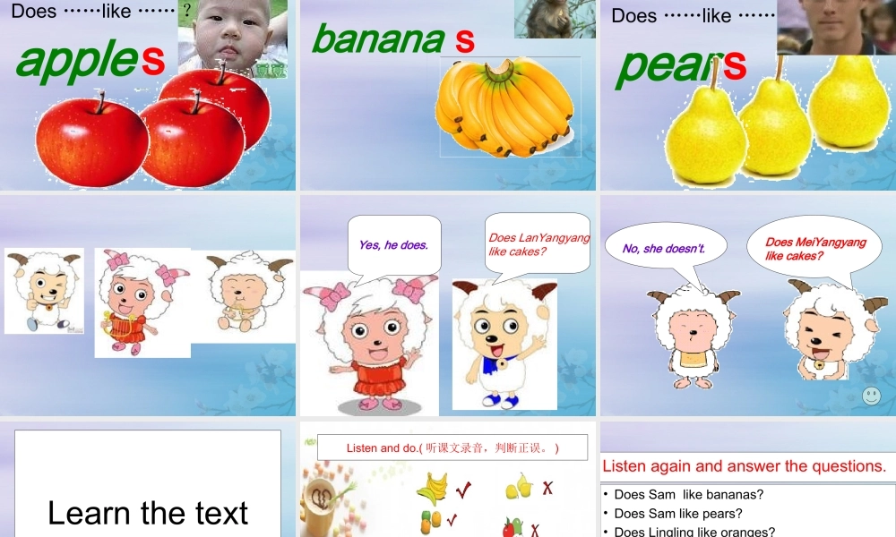 三年级英语下册 Module 4 Unit 2 Does Lingling like oranges（3）教学课件 外研版（三起）-外研版小学三年级下册英语课件