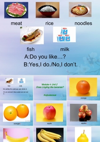 三年级英语下册 Module 4 Unit 2 Does Lingling like oranges（3）教学课件 外研版（三起）-外研版小学三年级下册英语课件