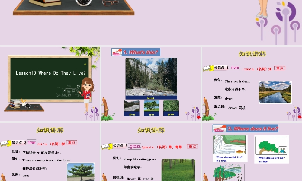 三年级英语下册 Unit 2 Animals at the Zoo Lesson 10 Where Do They Live课件 冀教版（三起）-冀教版小学三年级下册英语课件