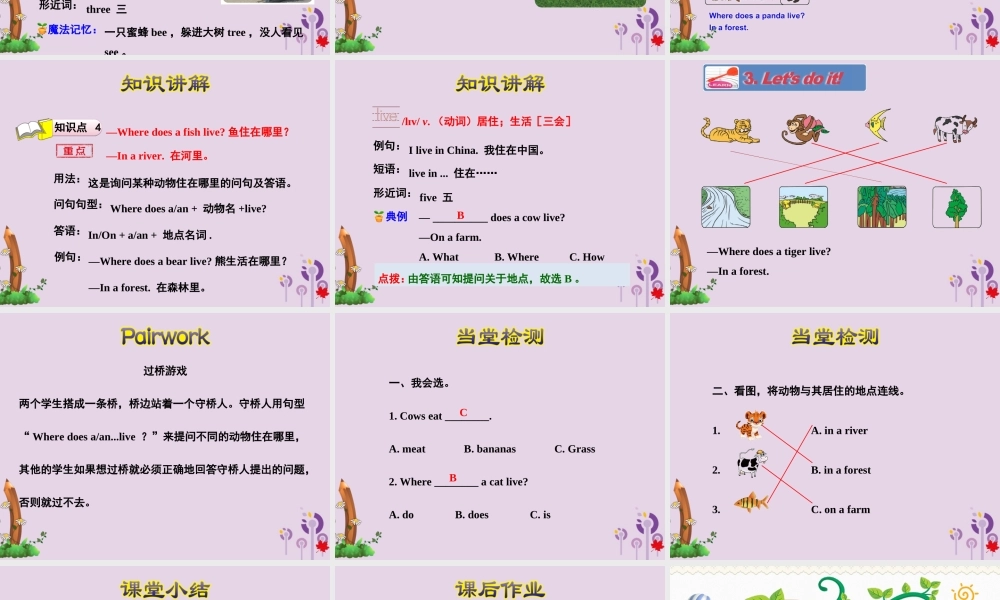 三年级英语下册 Unit 2 Animals at the Zoo Lesson 10 Where Do They Live课件 冀教版（三起）-冀教版小学三年级下册英语课件