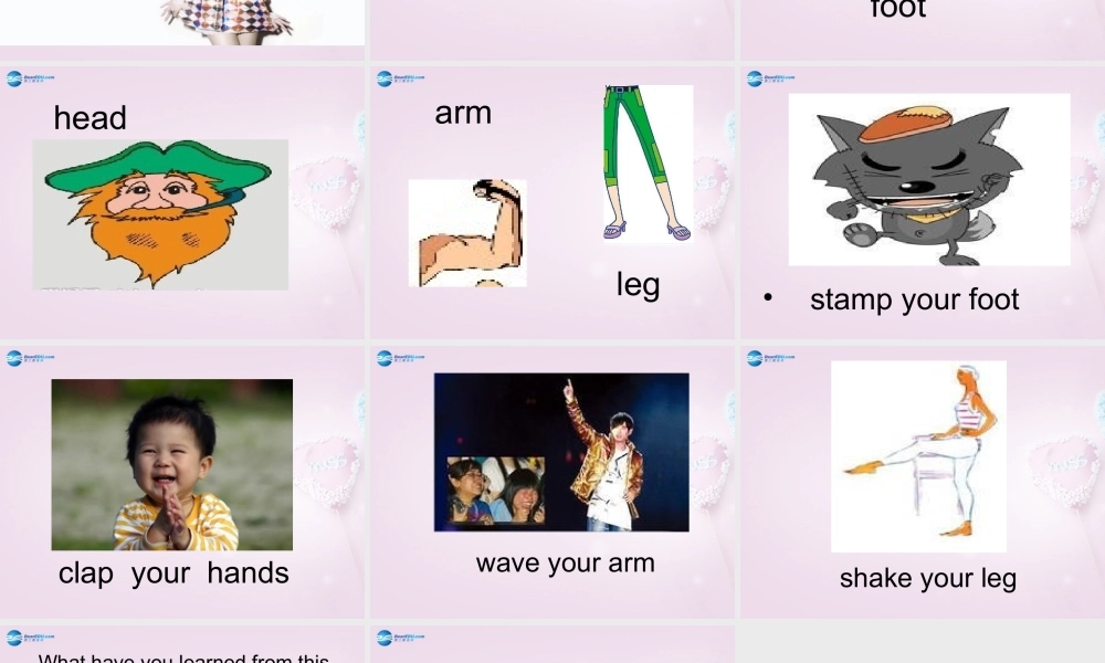 三年级英语上册《Lesson 14 My Body》课件2 （新版）冀教版