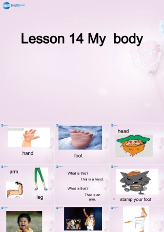 三年级英语上册《Lesson 14 My Body》课件3 （新版）冀教版